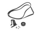 Belt and Pulley Kit 807901T 6