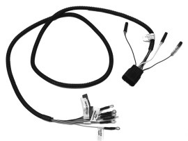 Mercury Analog Harness 10 Ft. 84-892990T10