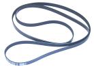 Sierra Serpentine Belt  18-15100