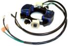 CDI Chrysler/Force Stator/Power Pack 110-0958