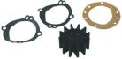 Sierra Impeller Kit 18-3046